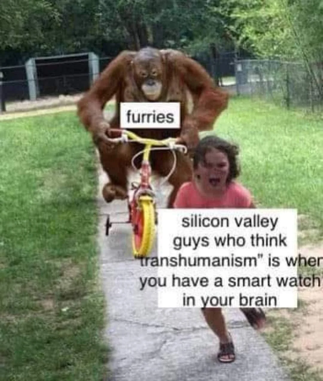 Pasted image 20240714153417.png